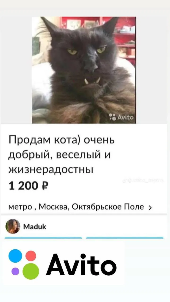 Авито представил новый сервис с короткими подработками
