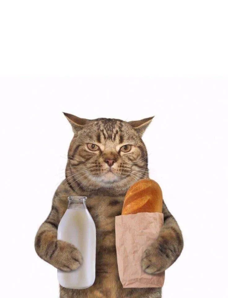 Мы к вам с подарочками🎁